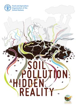 Soil Pollution Soil Pollution