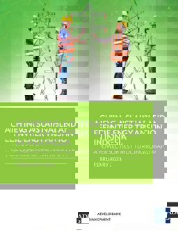 Achieving a Sustainable and Efficient Energy Transition in Indonesia