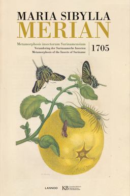 Maria Sibylla Merian. Metamorphosis Inhb Maria Sibylla Merian. Metamorphosis Insectorum Surinamensium  9789401433785 Front Cover