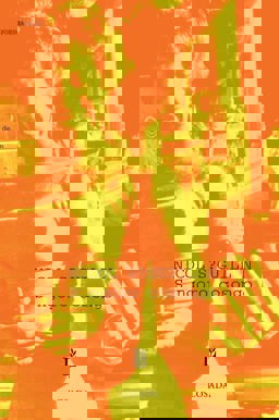 Songoro Cosongo:  9789500306607 Front Cover