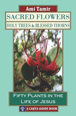 Sacred Flowers Holy Trees and Blessed Thorns - Fifty Plants in the Life of Jesus  9789652208798 Front Cover