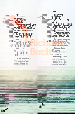 Juan Salvador Gaviota