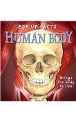 Cuerpo Humano/ the Human Body
