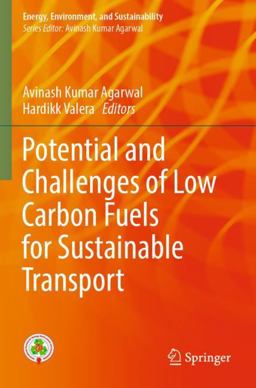 Potential and Challenges of Low Carbon Fuels for Sustainable Transport