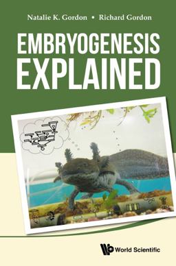 Embryogenesis Explained Embryogenesis Explained