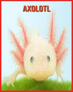 Axolotl