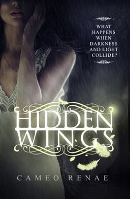 Hidden Wings (Hidden Wings Series Book One)