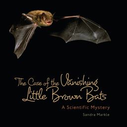 The Case of the Vanishing Little Brown Bats