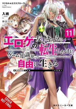 Magical Explorer, Vol. 11 (light Novel)