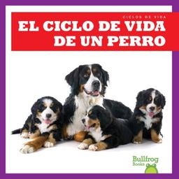 El Ciclo de Vida de un Perro