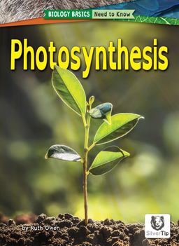 Photosynthesis Photosynthesis