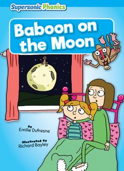 Baboon on the Moon