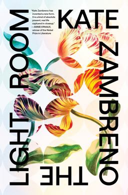 The Light Room The Light Room