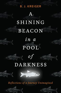 A Shining Beacon in a Pool of Darkness